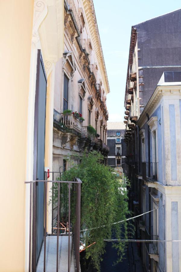 Guest house Preluna Palace
